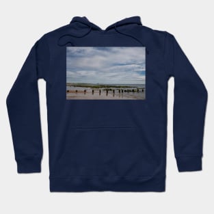 The beach at Whitley Bay in June (2) Hoodie